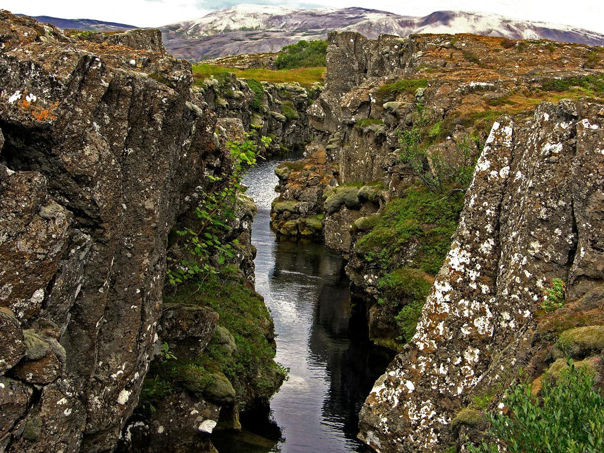 Galleri - Gistiheimili Laugarvatn Εξωτερικό φωτογραφία
